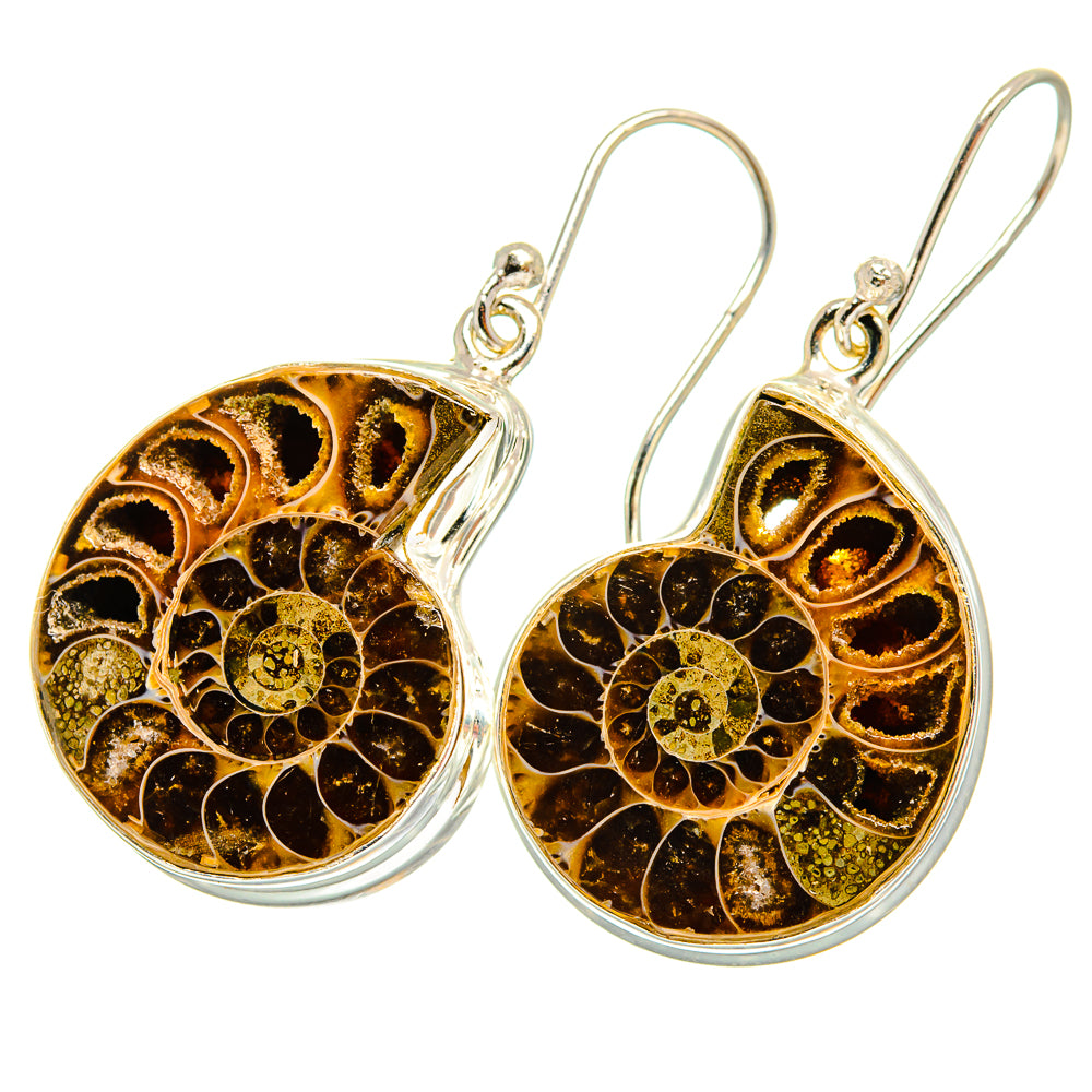 Ammonite Fossil Earrings handcrafted by Anasilvercos - EARR419334