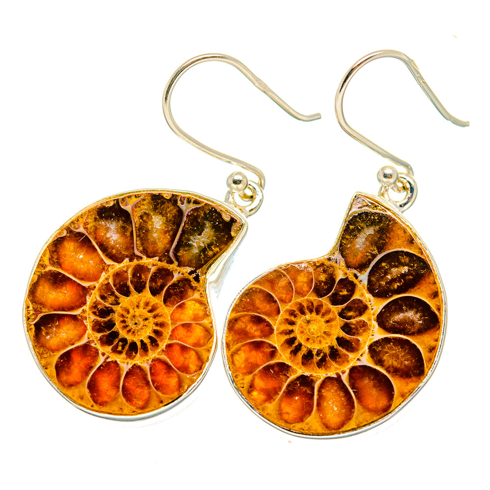 Ammonite Fossil Earrings handcrafted by Anasilvercos - EARR419350