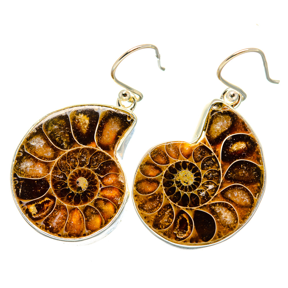 Ammonite Fossil Earrings handcrafted by Anasilvercos - EARR419354
