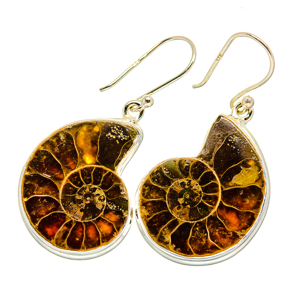 Ammonite Fossil Earrings handcrafted by Anasilvercos - EARR419356