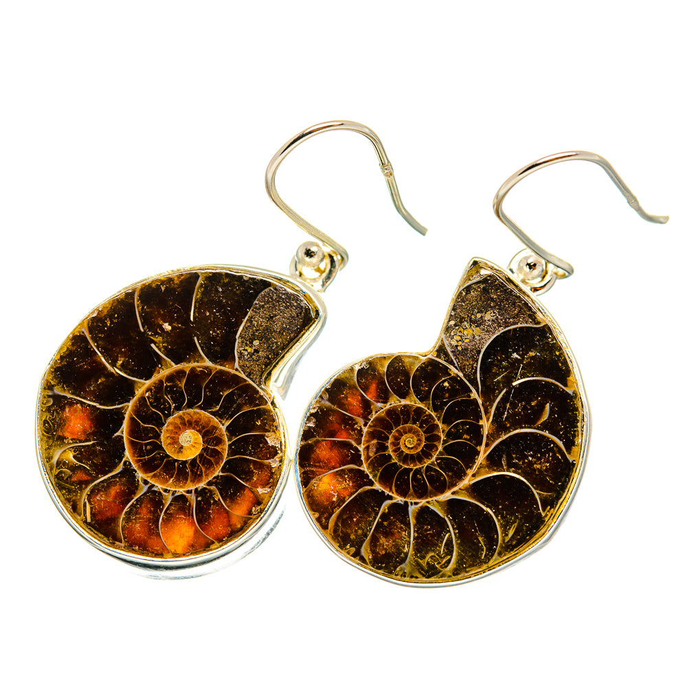 Ammonite Fossil Earrings handcrafted by Anasilvercos - EARR419378