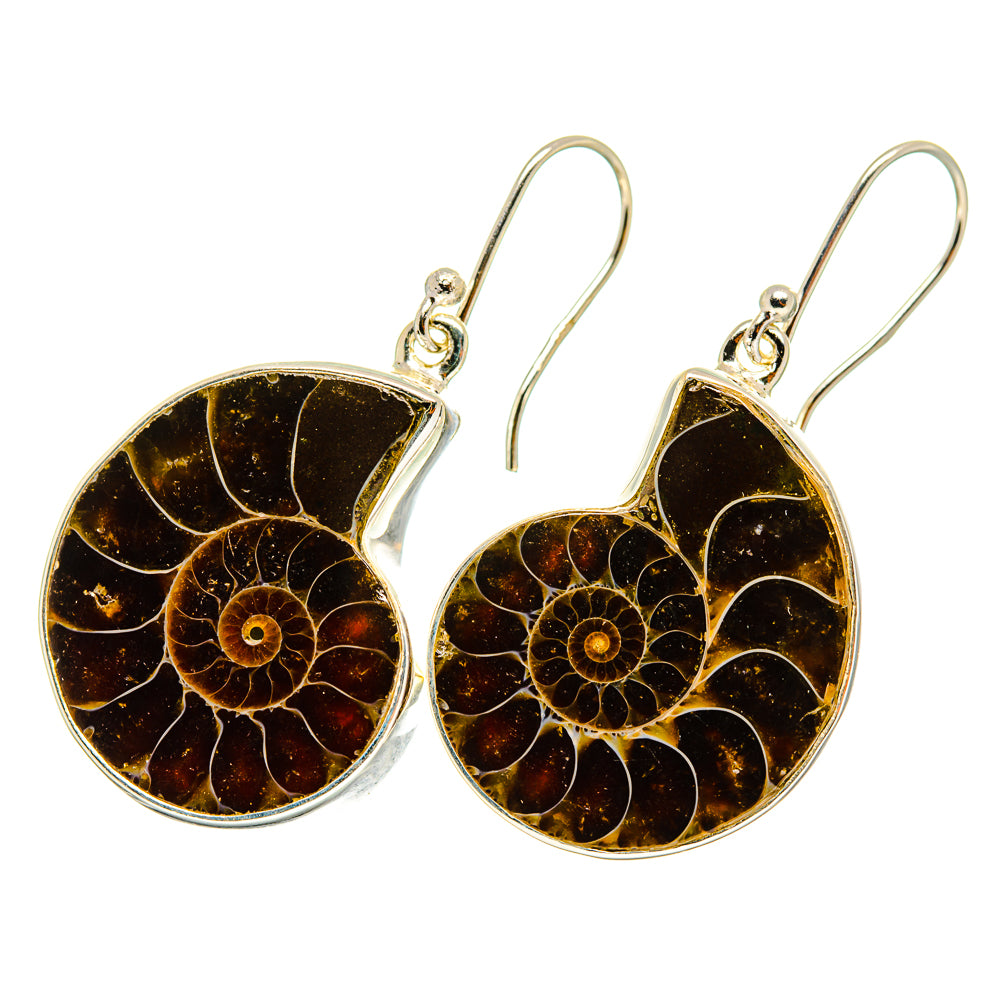 Ammonite Fossil Earrings handcrafted by Anasilvercos - EARR419386