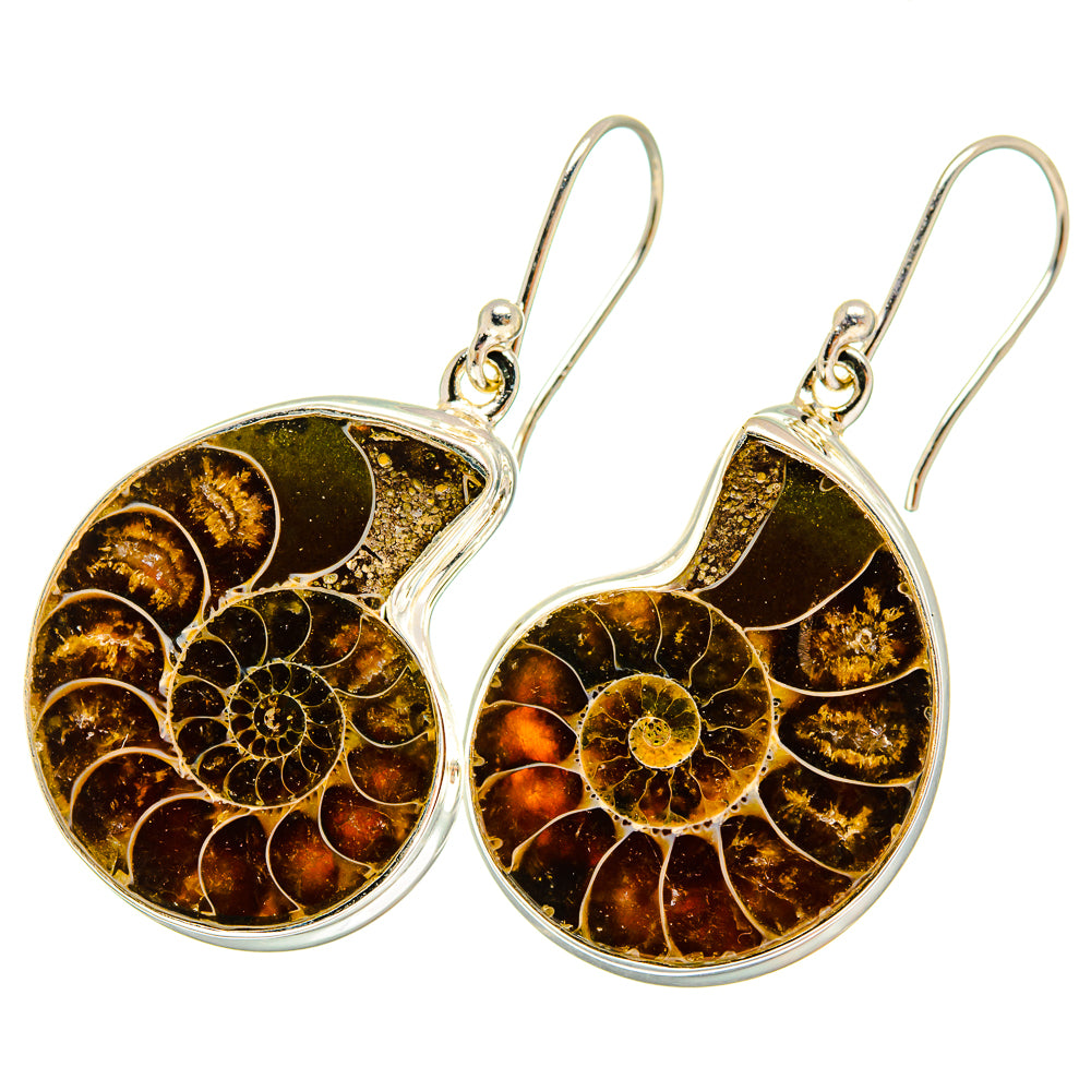 Ammonite Fossil Earrings handcrafted by Anasilvercos - EARR419412