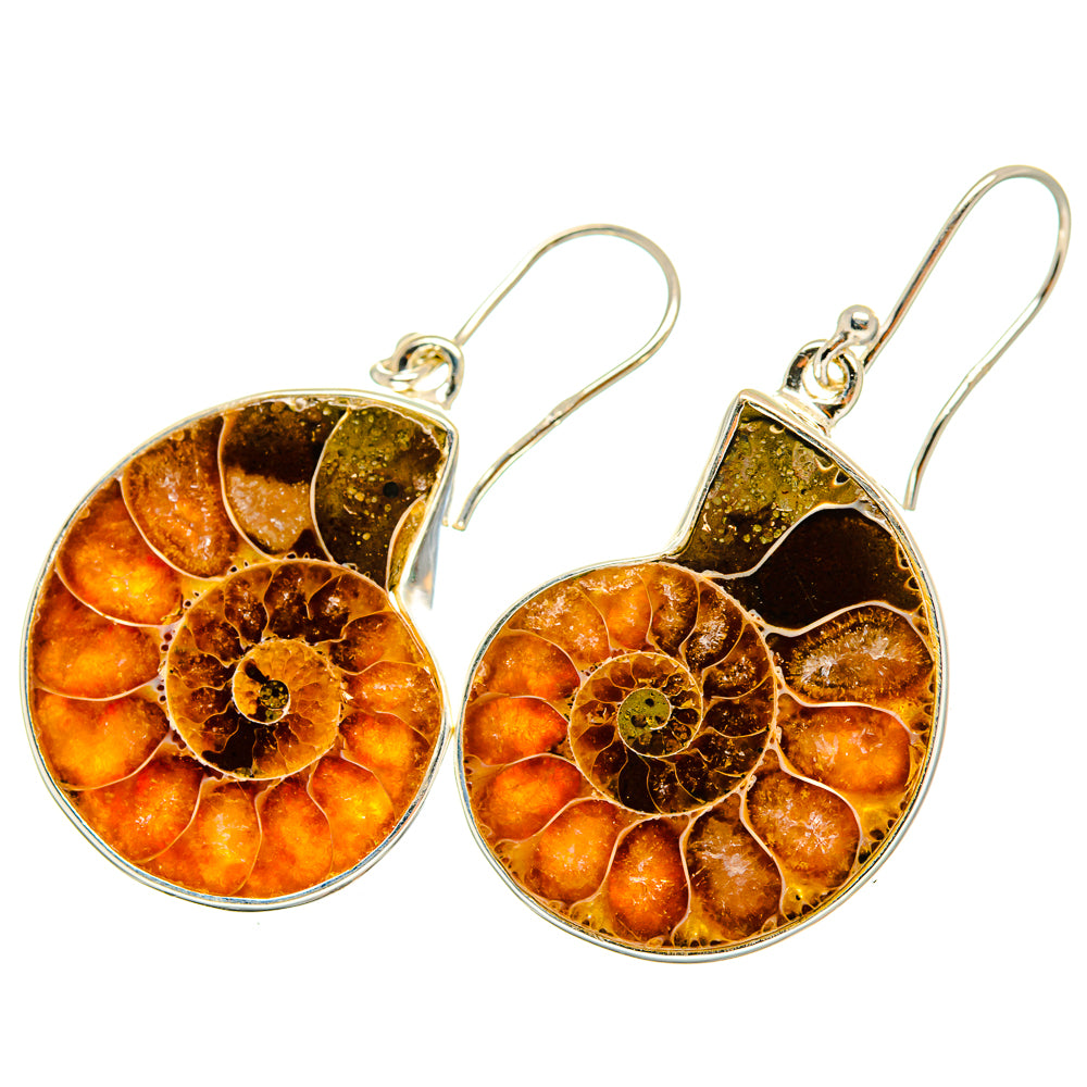 Ammonite Fossil Earrings handcrafted by Anasilvercos - EARR419421