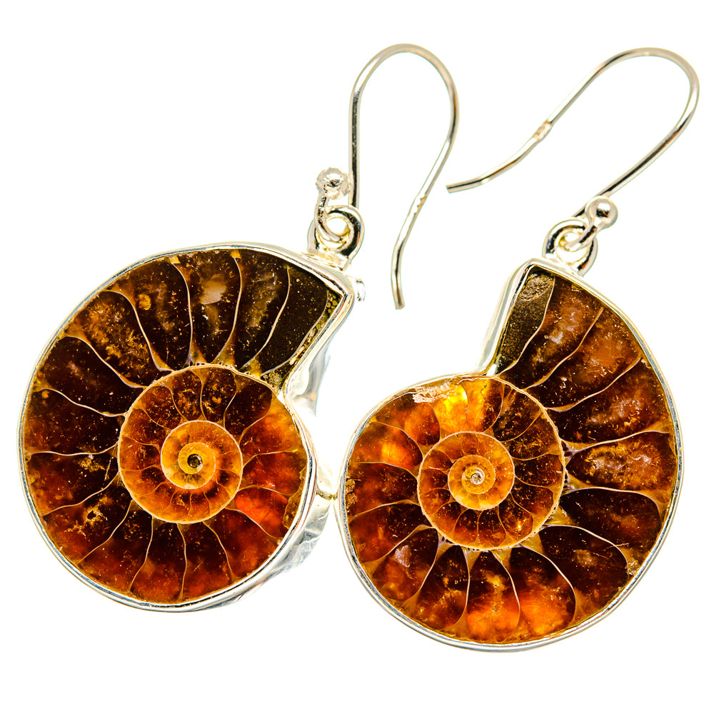 Ammonite Fossil Earrings handcrafted by Anasilvercos - EARR419429