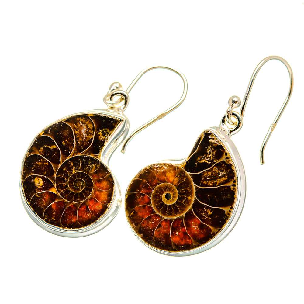 Ammonite Fossil Earrings handcrafted by Anasilvercos - EARR419439