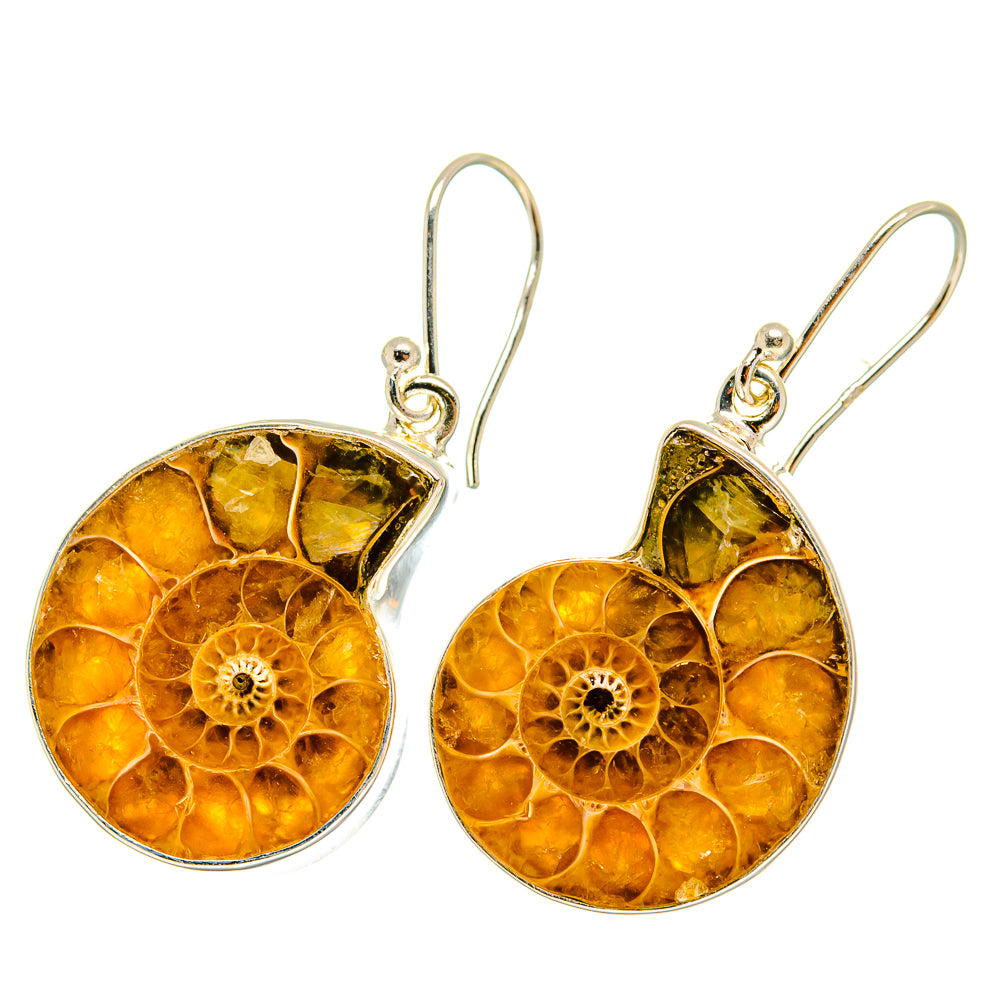 Ammonite Fossil Earrings handcrafted by Anasilvercos - EARR419442