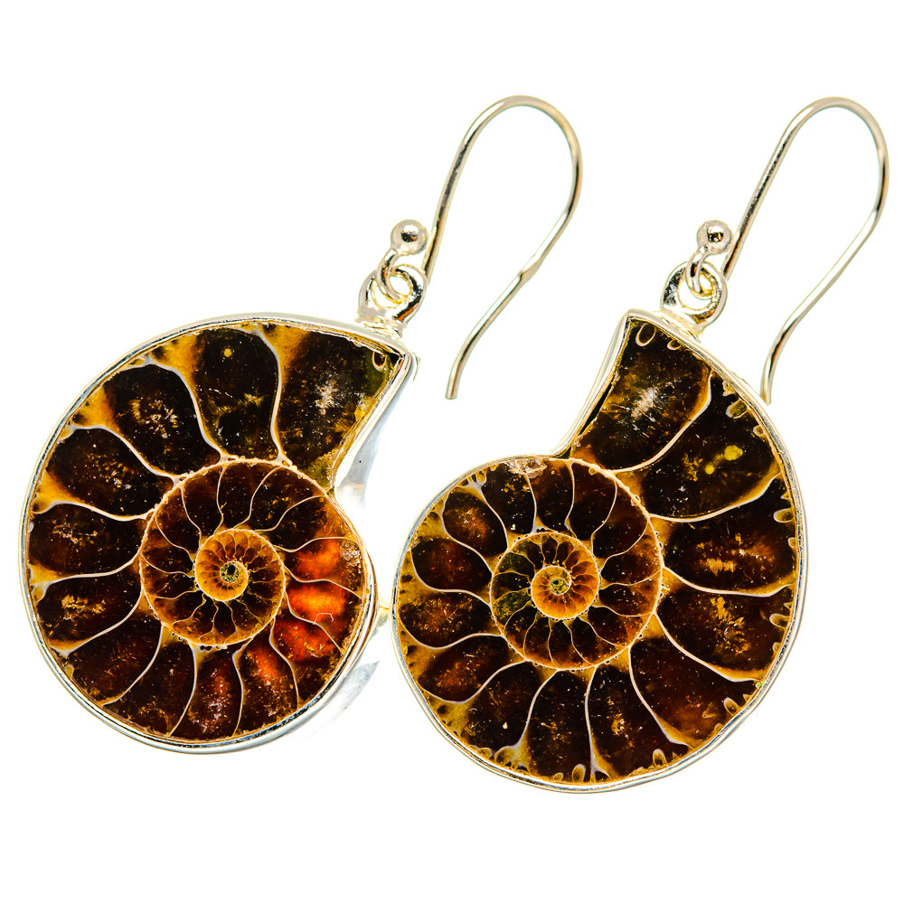 Ammonite Fossil Earrings handcrafted by Anasilvercos - EARR419459