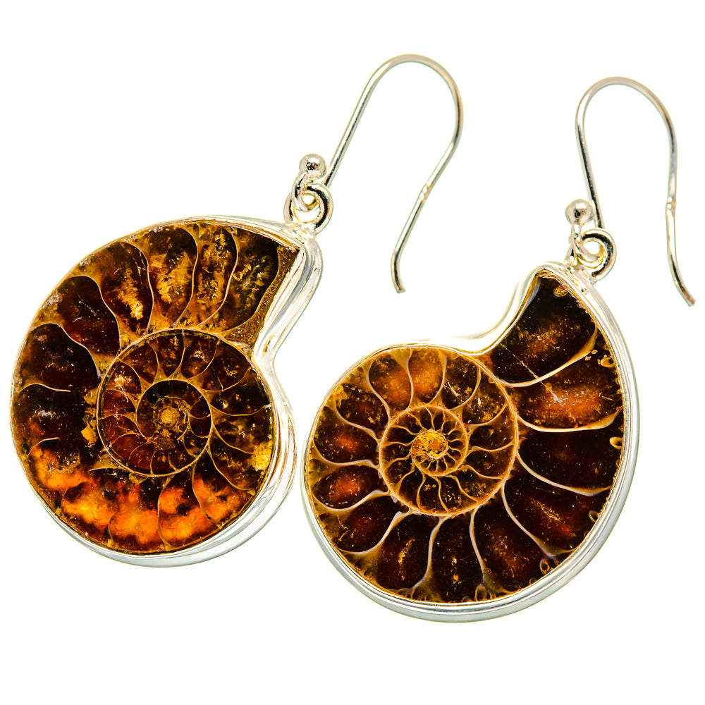 Ammonite Fossil Earrings handcrafted by Anasilvercos - EARR419483