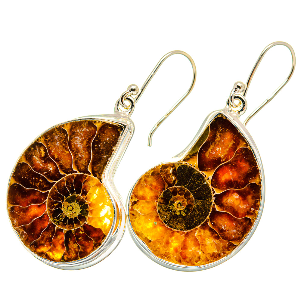 Ammonite Fossil Earrings handcrafted by Anasilvercos - EARR419505