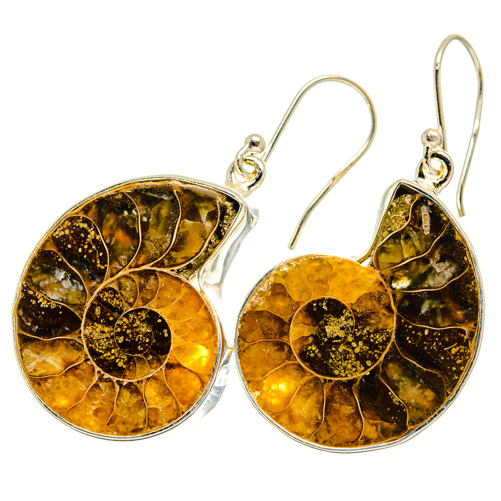 Ammonite Fossil Earrings handcrafted by Anasilvercos - EARR419508
