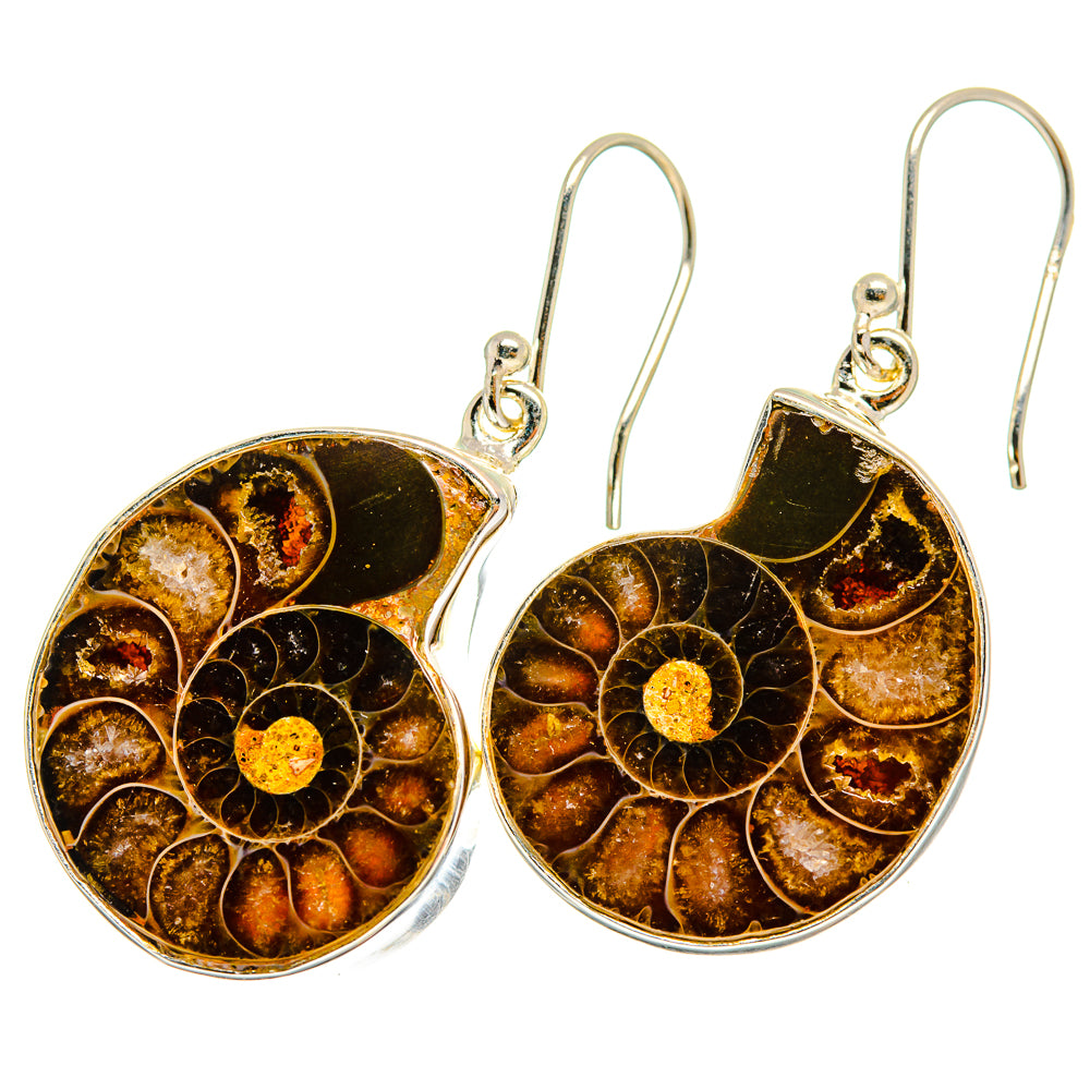 Ammonite Fossil Earrings handcrafted by Anasilvercos - EARR419512