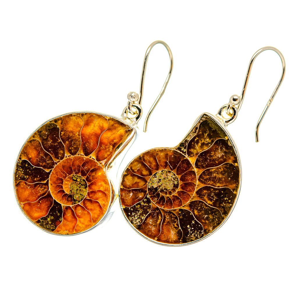 Ammonite Fossil Earrings handcrafted by Anasilvercos - EARR419521