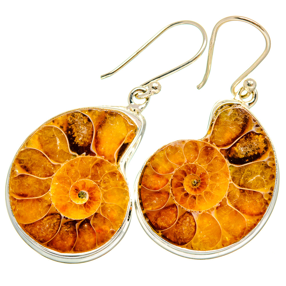 Ammonite Fossil Earrings handcrafted by Anasilvercos - EARR419531