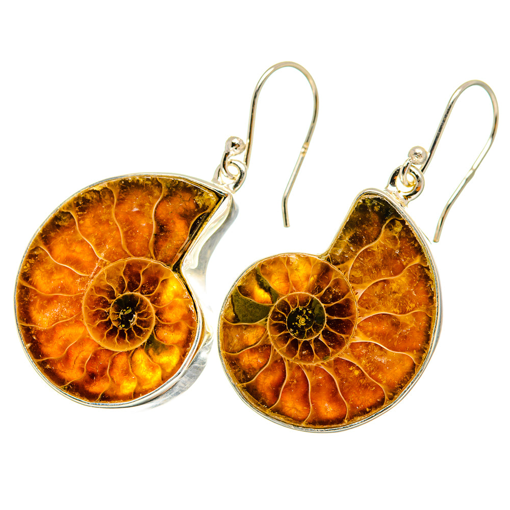 Ammonite Fossil Earrings handcrafted by Anasilvercos - EARR419535