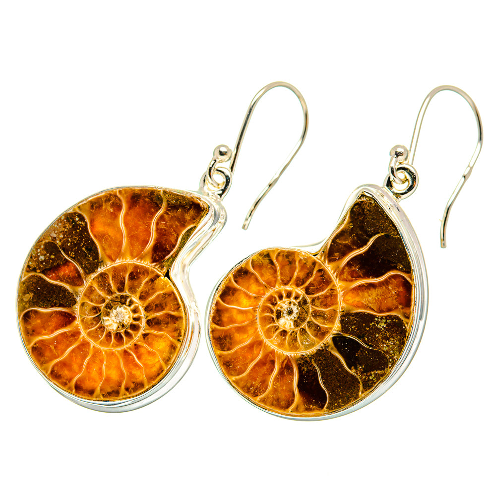 Ammonite Fossil Earrings handcrafted by Anasilvercos - EARR419593