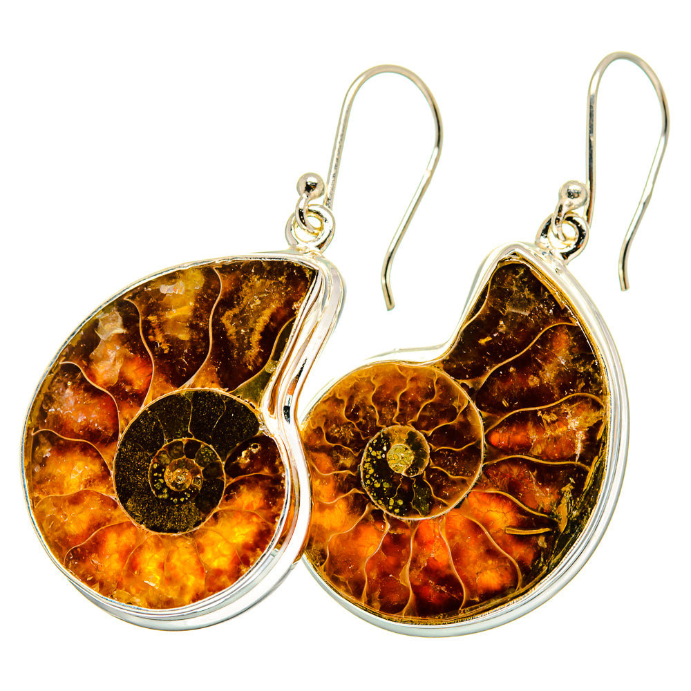 Ammonite Fossil Earrings handcrafted by Anasilvercos - EARR419609