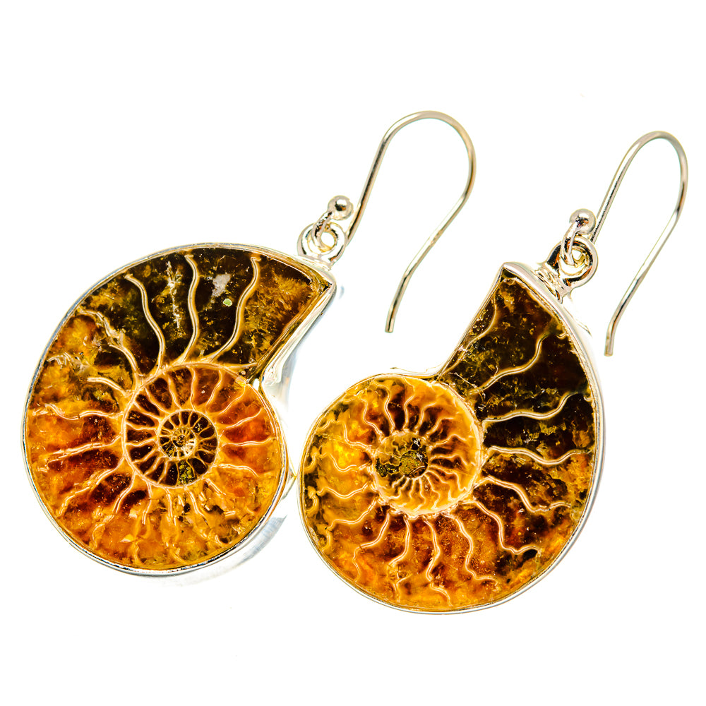 Ammonite Fossil Earrings handcrafted by Anasilvercos - EARR419619