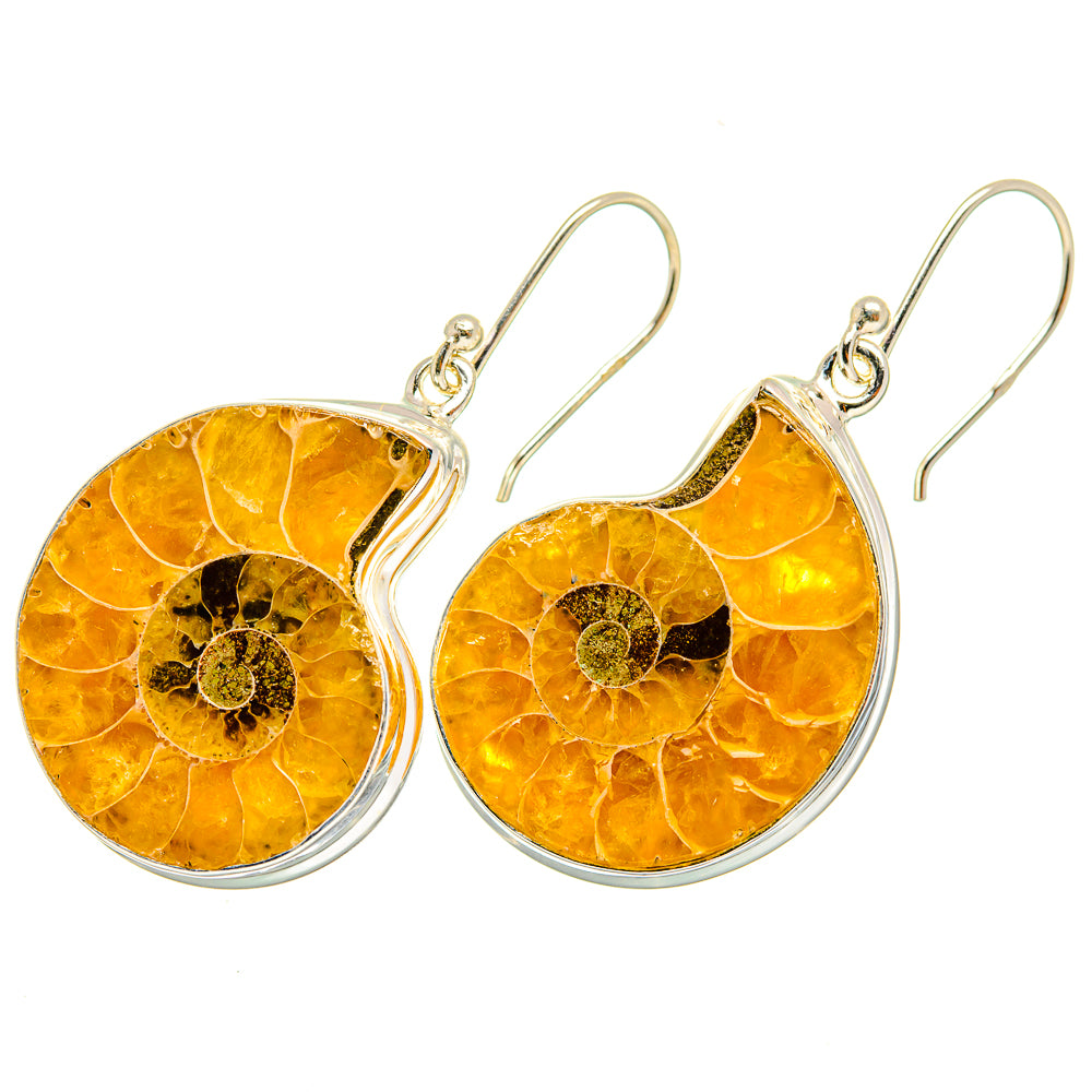 Ammonite Fossil Earrings handcrafted by Anasilvercos - EARR419656