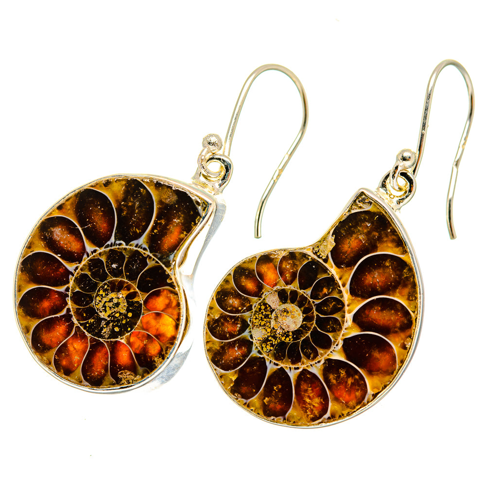 Ammonite Fossil Earrings handcrafted by Anasilvercos - EARR419657