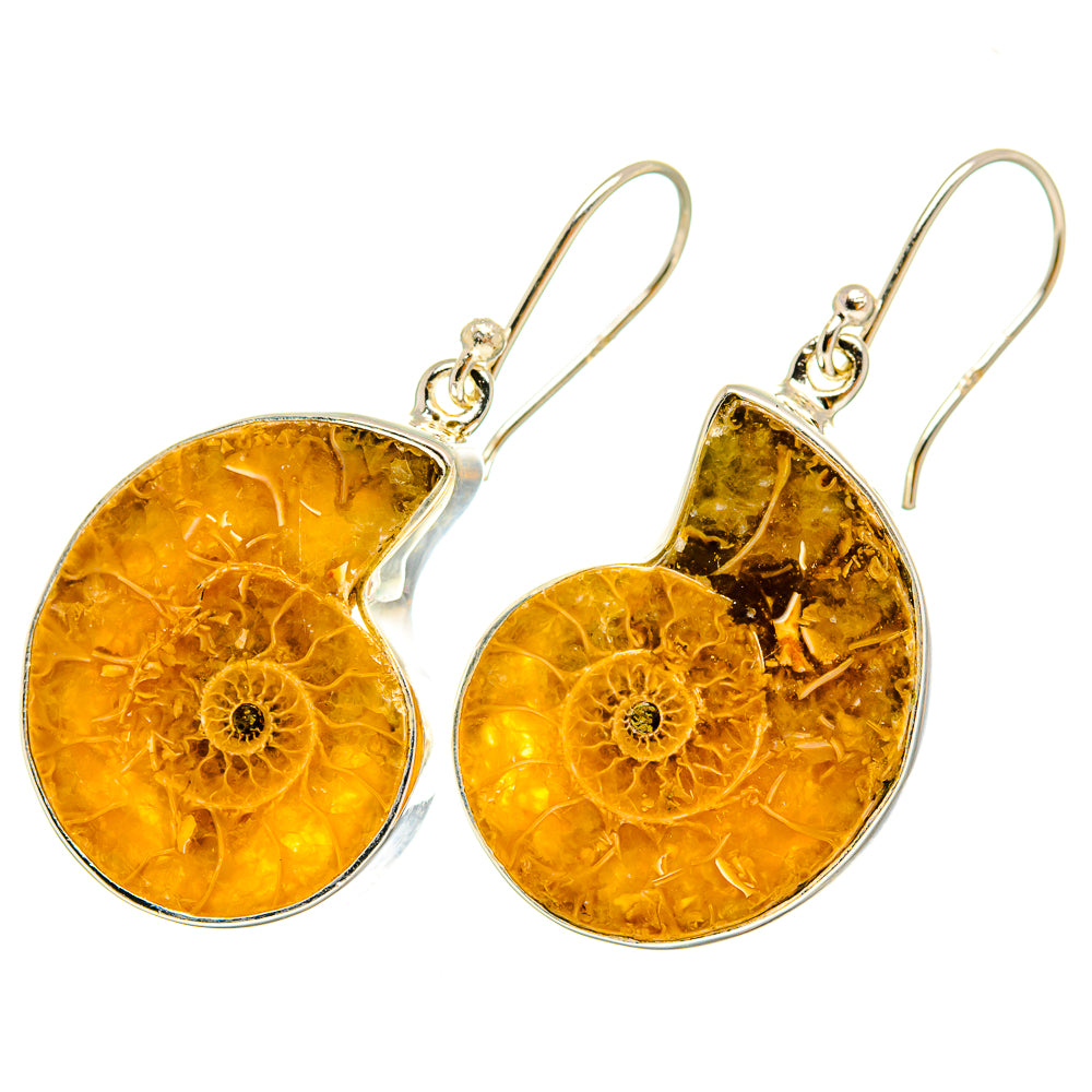 Ammonite Fossil Earrings handcrafted by Anasilvercos - EARR419677