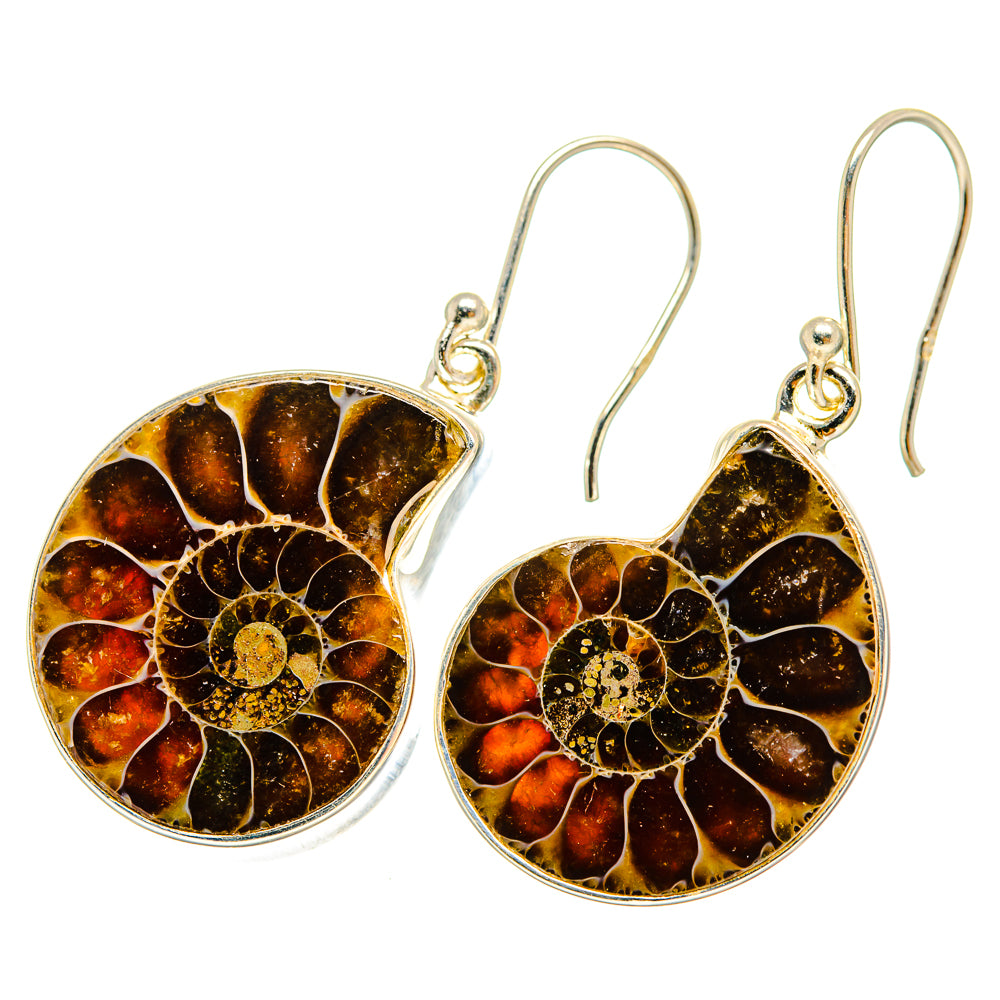 Ammonite Fossil Earrings handcrafted by Anasilvercos - EARR419687