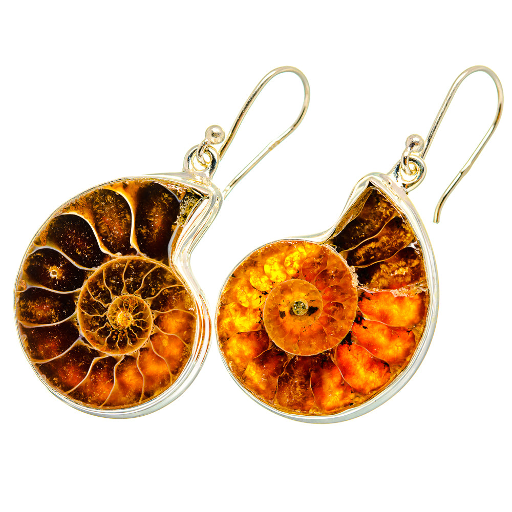 Ammonite Fossil Earrings handcrafted by Anasilvercos - EARR419696