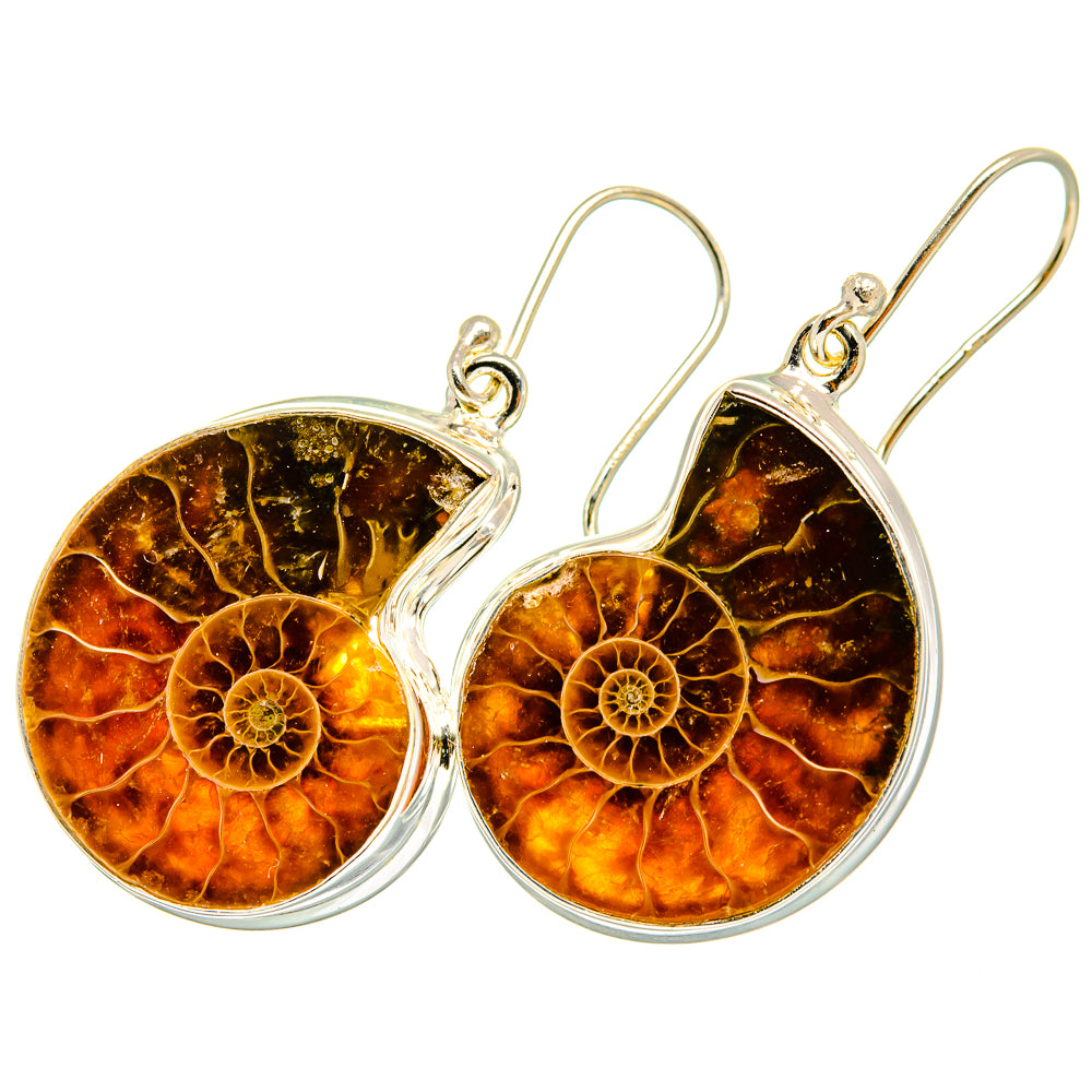 Ammonite Fossil Earrings handcrafted by Anasilvercos - EARR419700
