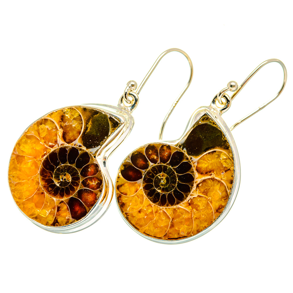 Ammonite Fossil Earrings handcrafted by Anasilvercos - EARR419717