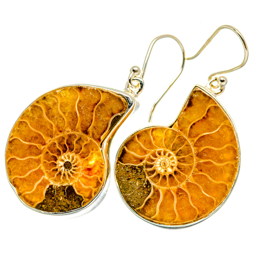 Ammonite Fossil Earrings handcrafted by Anasilvercos - EARR419729