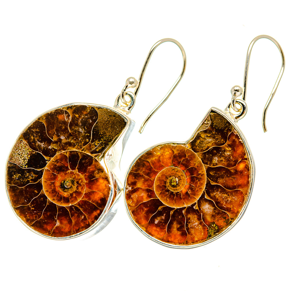 Ammonite Fossil Earrings handcrafted by Anasilvercos - EARR419738