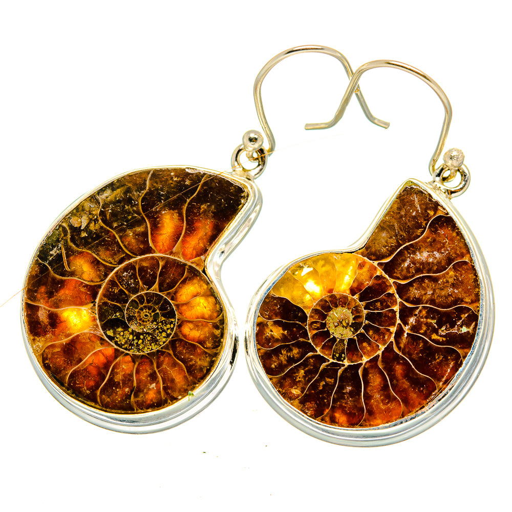 Ammonite Fossil Earrings handcrafted by Anasilvercos - EARR419789
