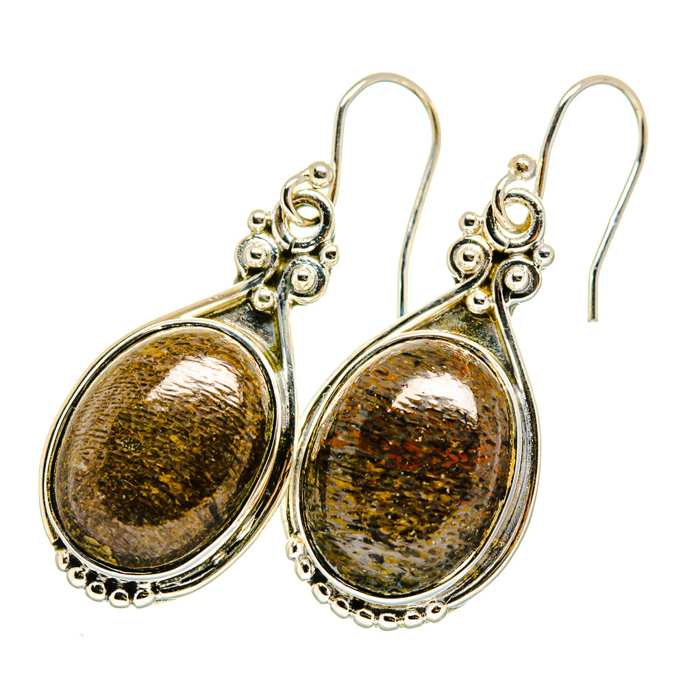 Dinosaur Bone Earrings handcrafted by Anasilvercos - EARR420142