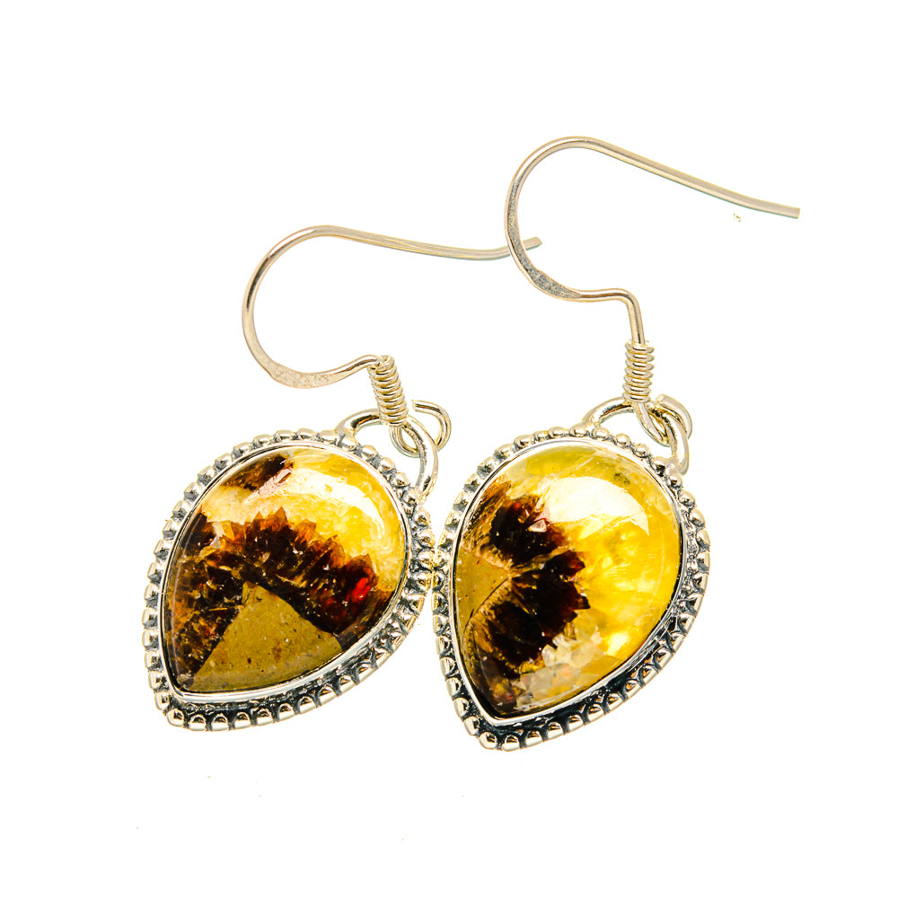 Septarian Nodule Earrings handcrafted by Anasilvercos - EARR420511