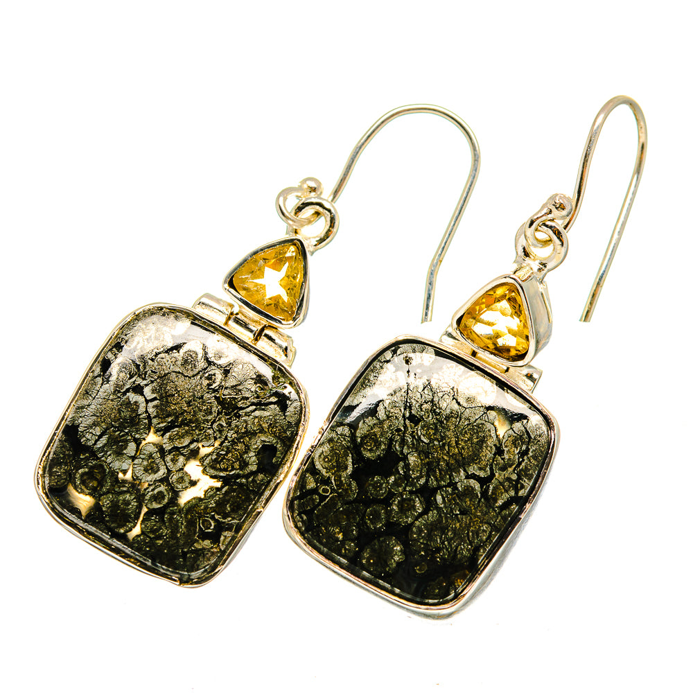Pyrite Agate Earrings handcrafted by Anasilvercos - EARR420685