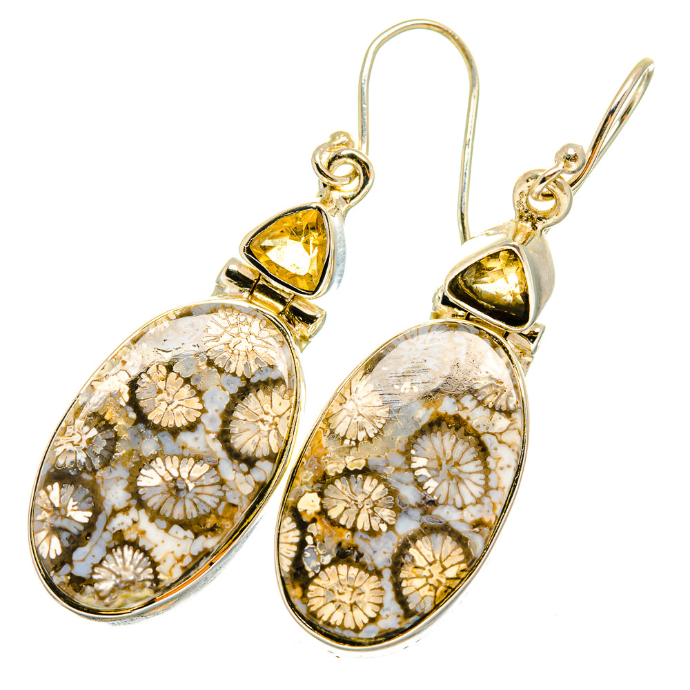 Fossil Coral Earrings handcrafted by Anasilvercos - EARR420697