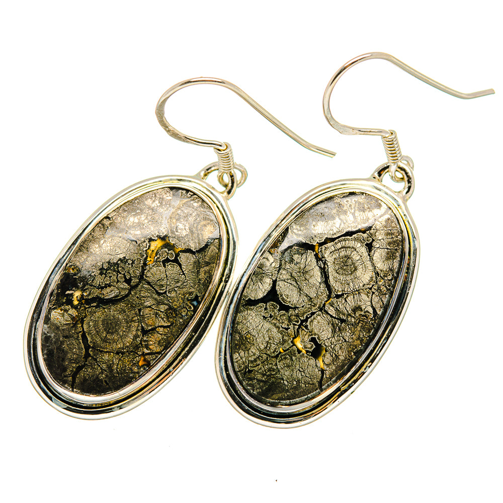 Pyrite Agate Earrings handcrafted by Anasilvercos - EARR420757