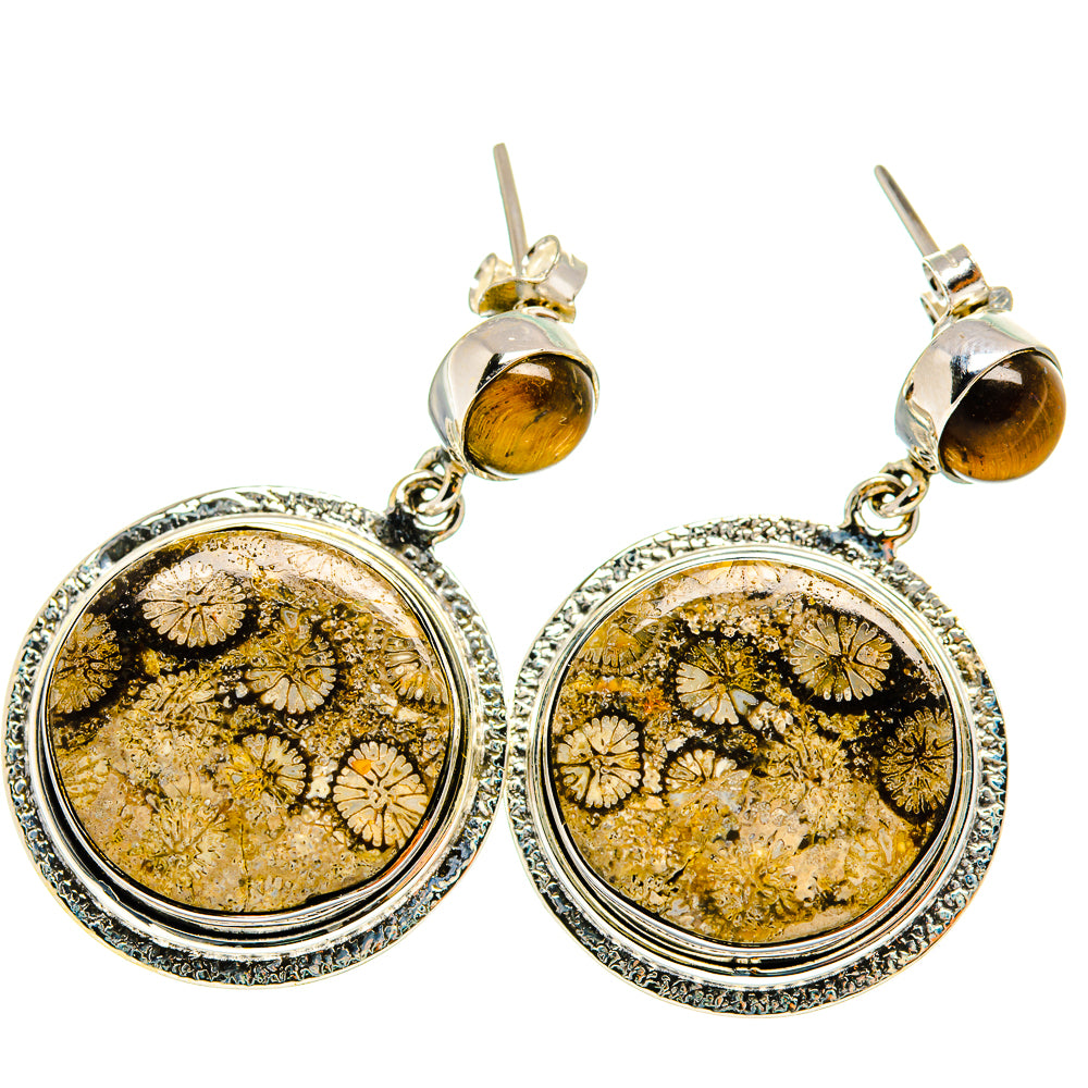 Fossil Coral, Tiger Eye Earrings handcrafted by Anasilvercos - EARR421010