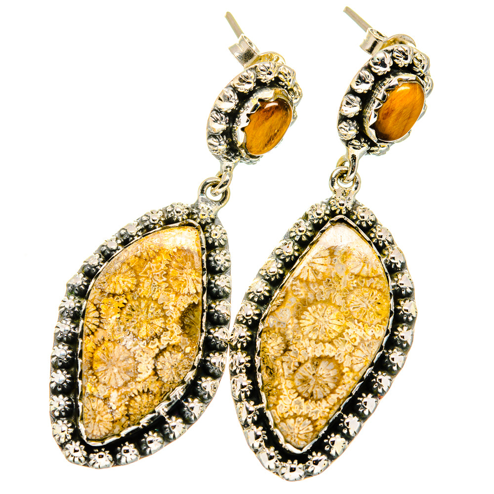 Fossil Coral, Tiger Eye Earrings handcrafted by Anasilvercos - EARR421136