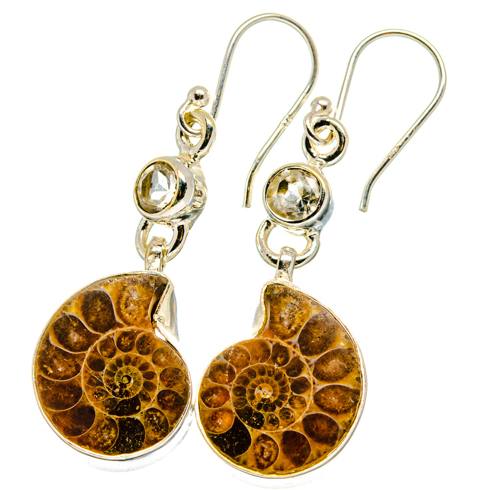 Ammonite Fossil Earrings handcrafted by Anasilvercos - EARR422335