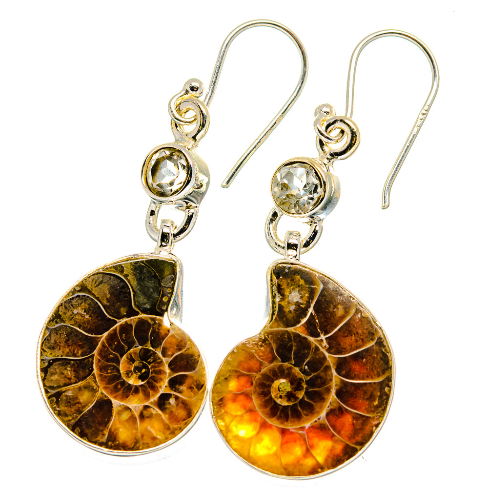 Ammonite Fossil Earrings handcrafted by Anasilvercos - EARR422338