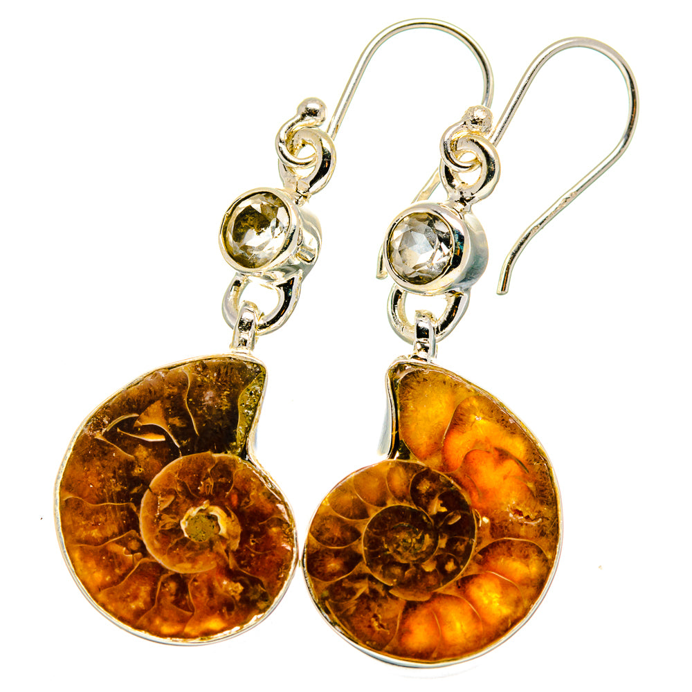 Ammonite Fossil Earrings handcrafted by Anasilvercos - EARR422359