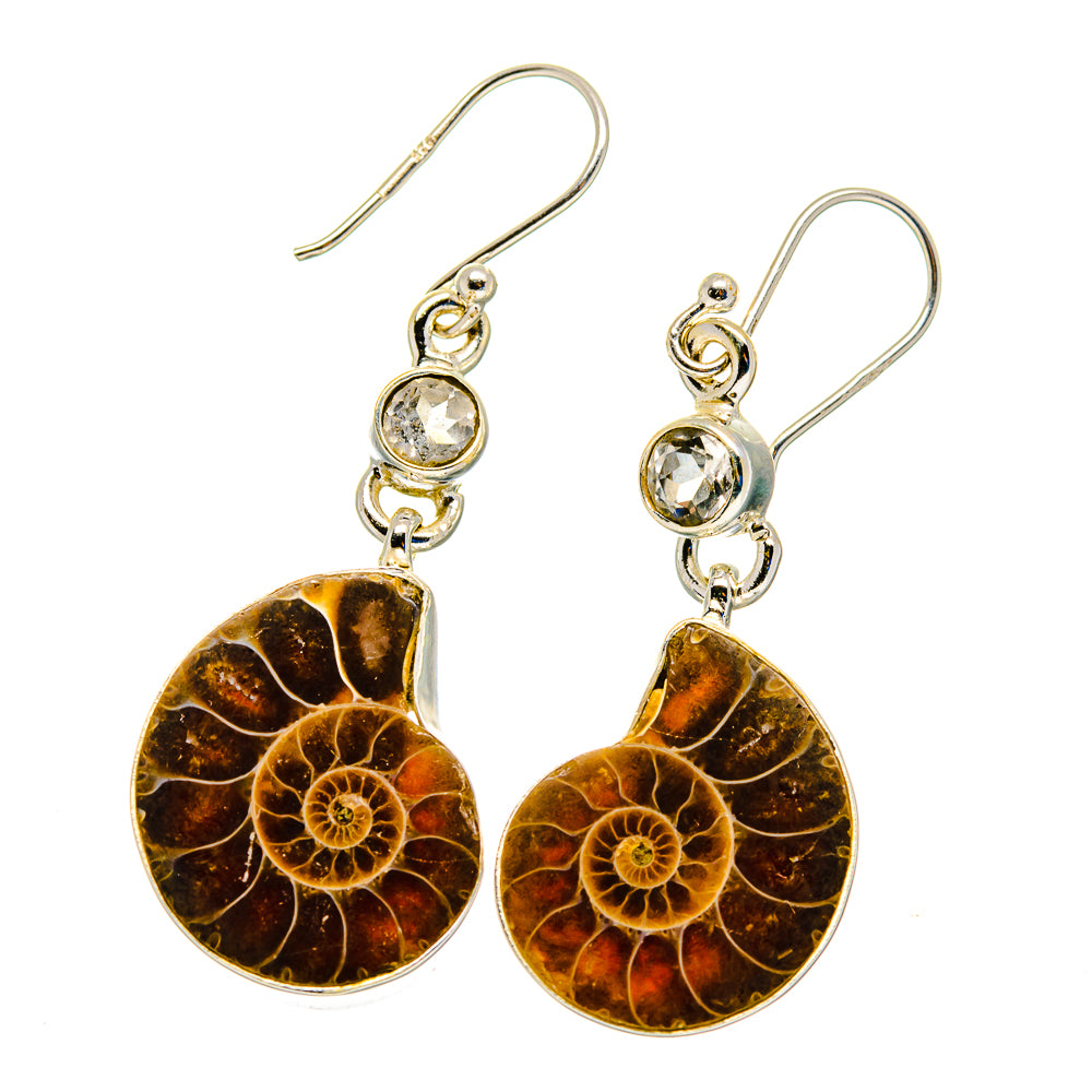 Ammonite Fossil Earrings handcrafted by Anasilvercos - EARR422463