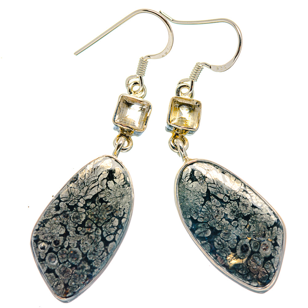 Pyrite Agate Earrings handcrafted by Anasilvercos - EARR423200