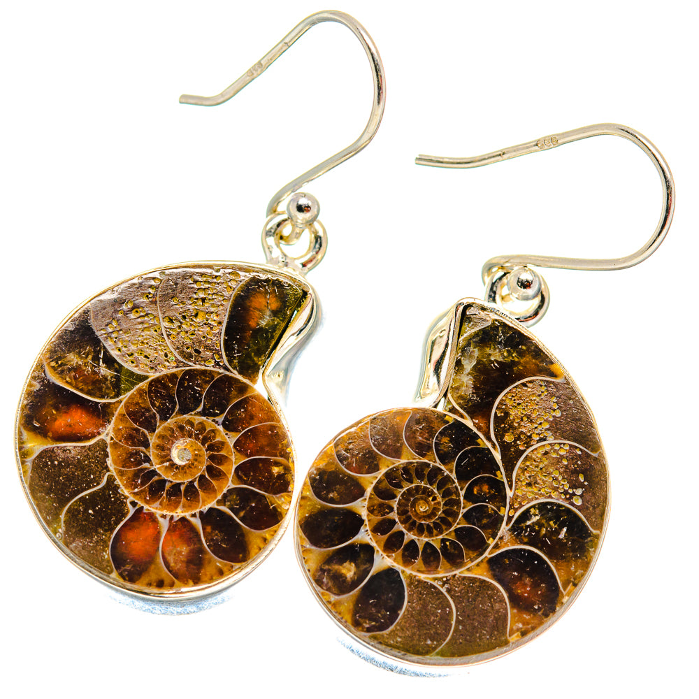 Ammonite Fossil Earrings handcrafted by Anasilvercos - EARR423785
