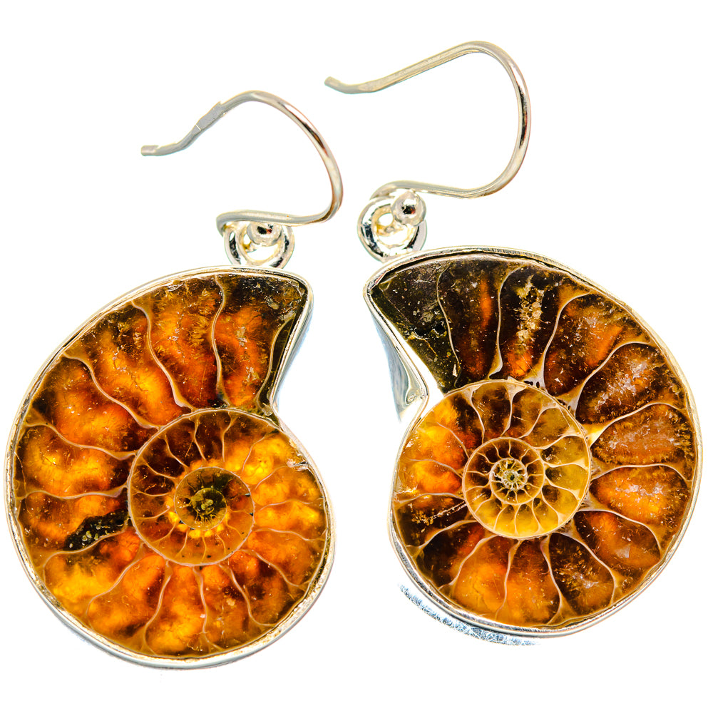 Ammonite Fossil Earrings handcrafted by Anasilvercos - EARR423801