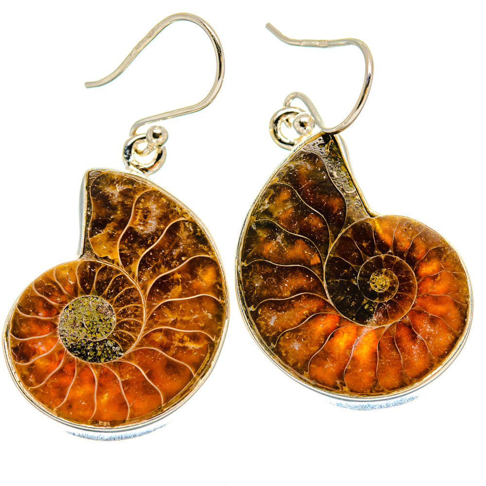 Ammonite Fossil Earrings handcrafted by Anasilvercos - EARR423902