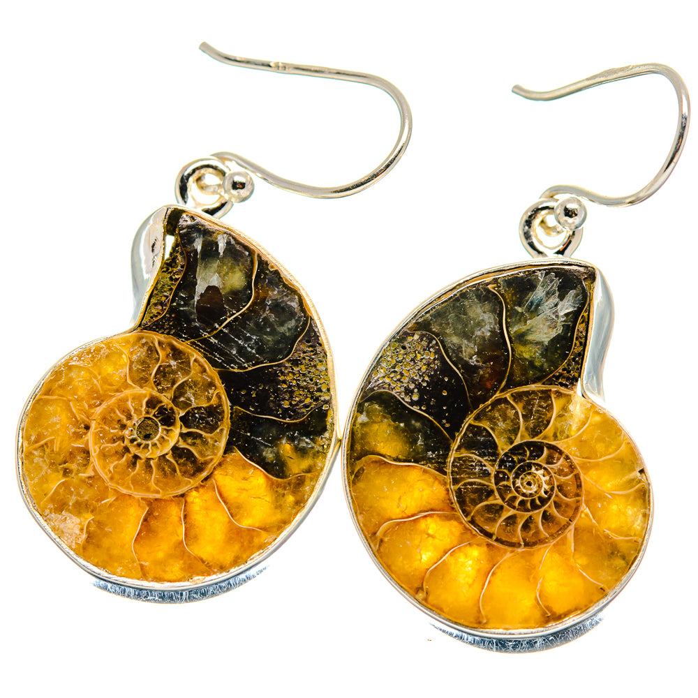 Ammonite Fossil Earrings handcrafted by Anasilvercos - EARR423932