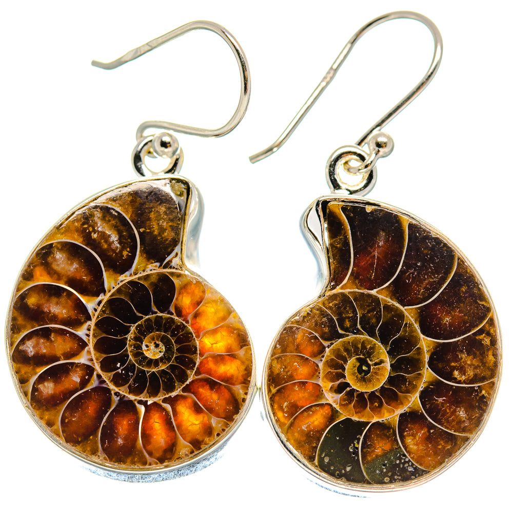 Ammonite Fossil Earrings handcrafted by Anasilvercos - EARR423984