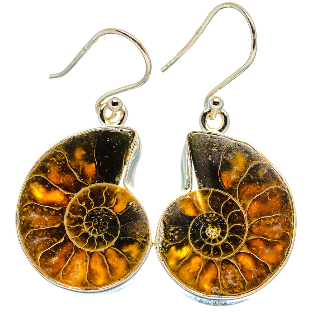 Ammonite Fossil Earrings handcrafted by Anasilvercos - EARR424045